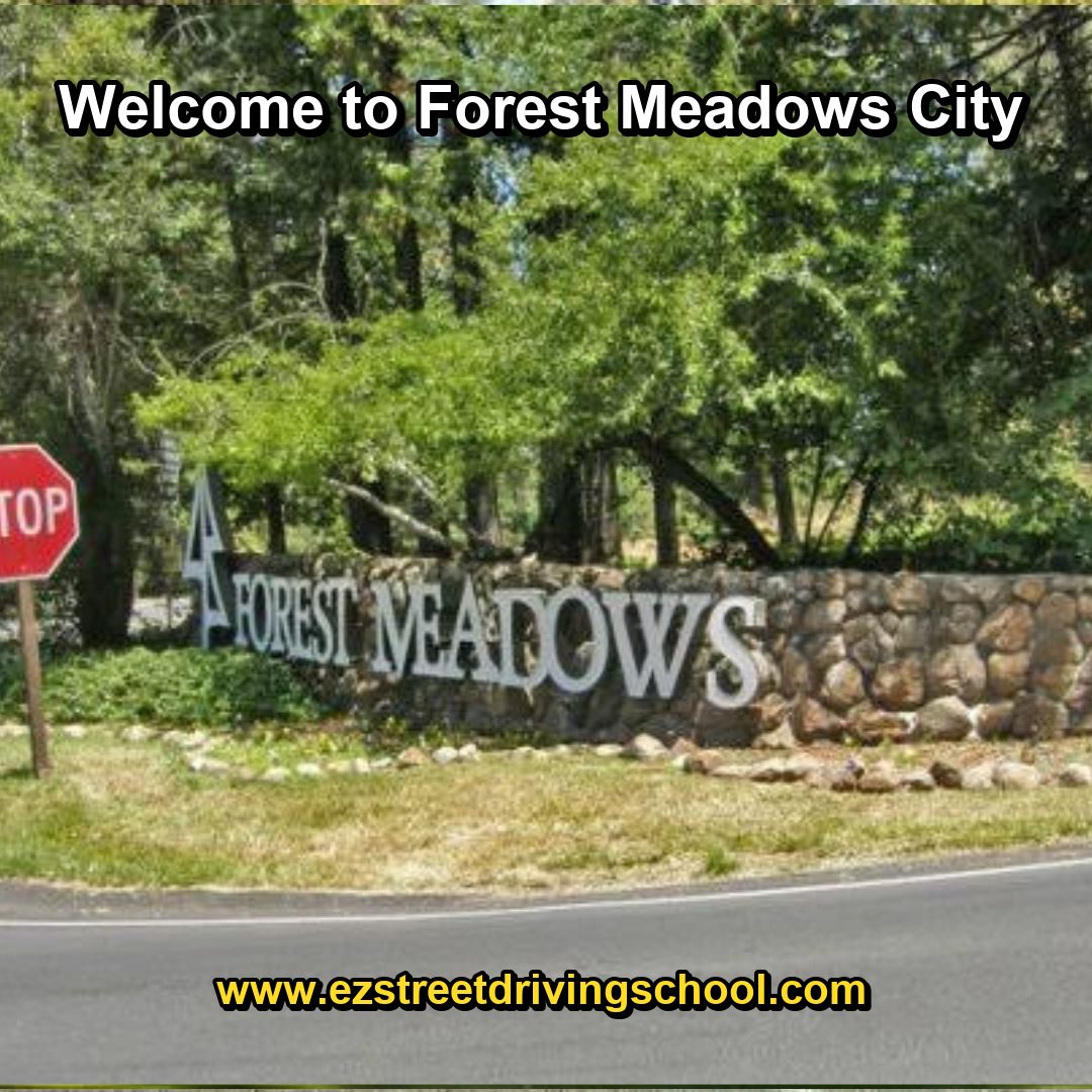Driving Lessons in Forest Meadows